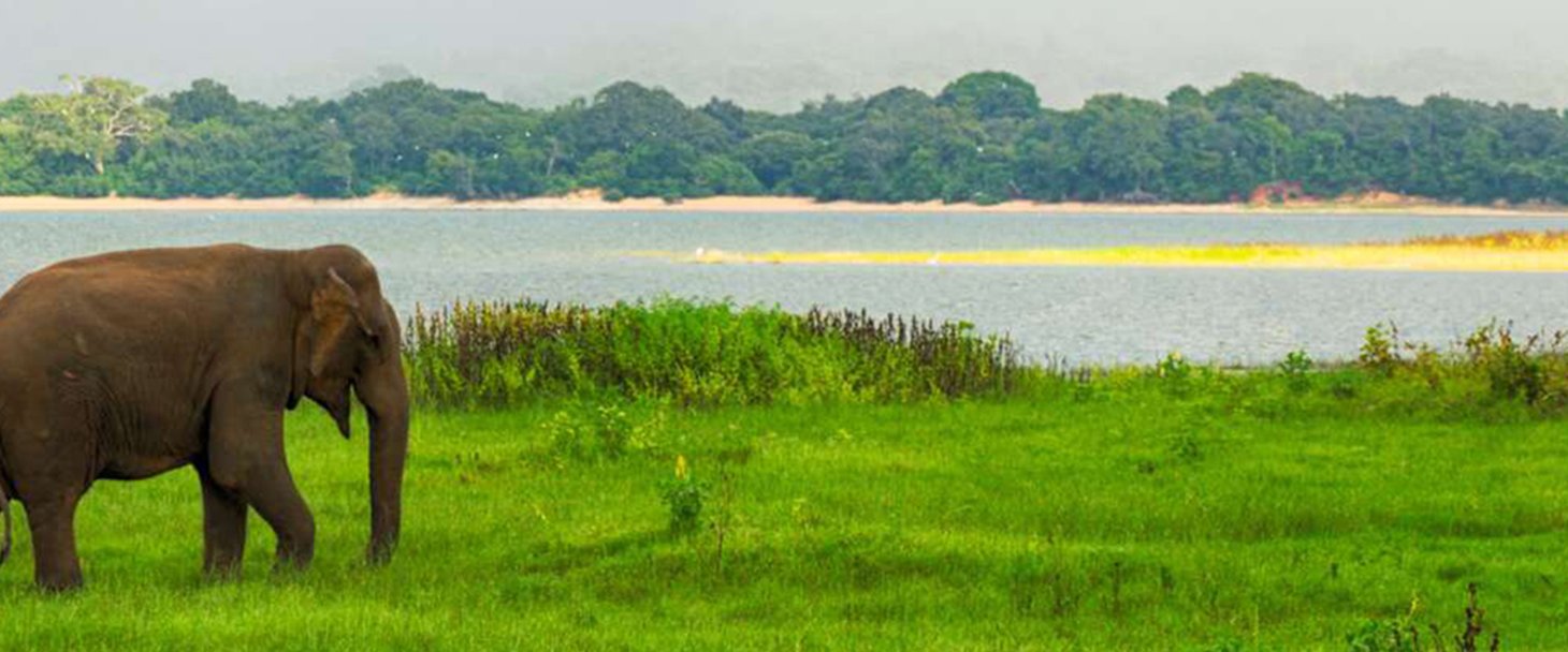 SRILANKA